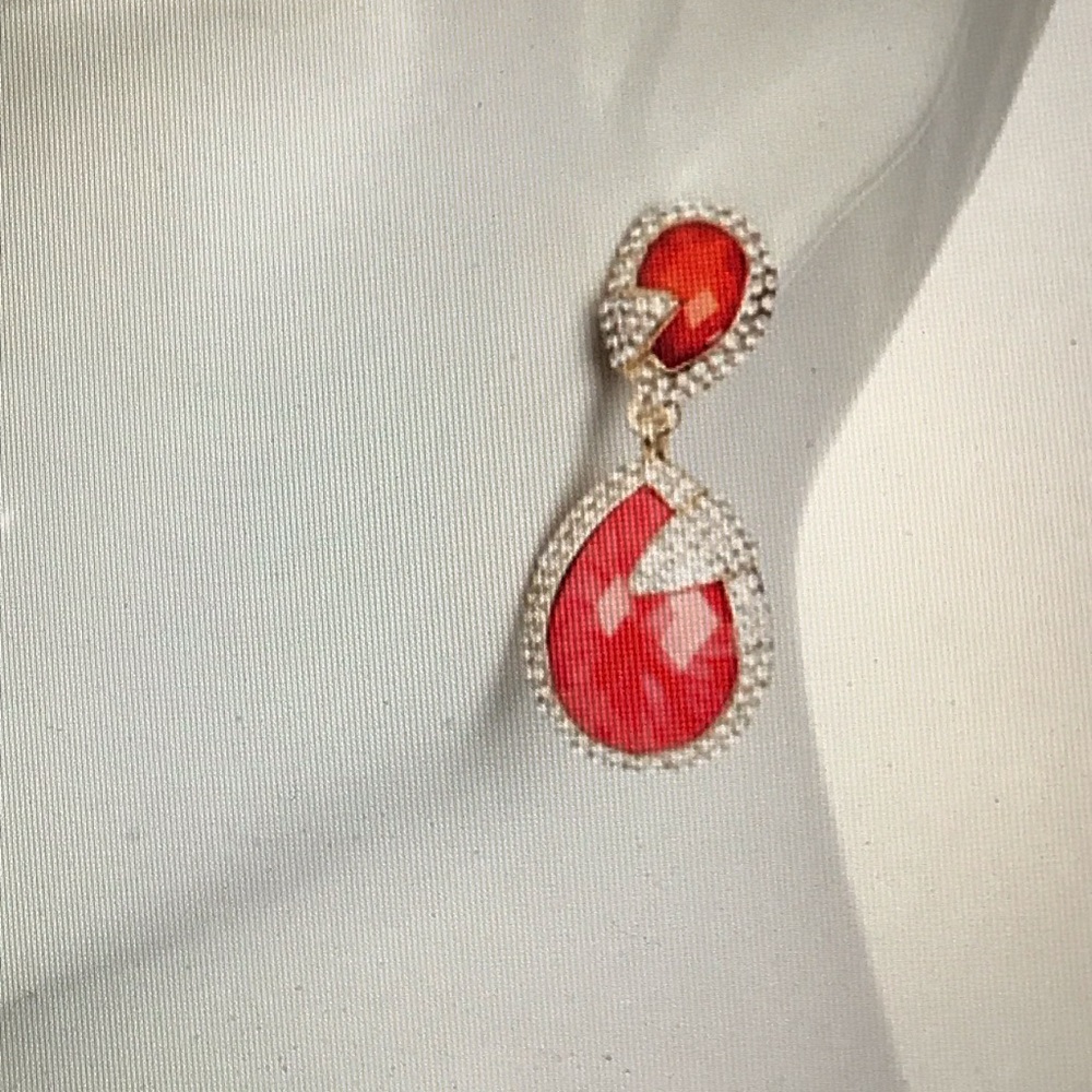 Amrita Singh earrings